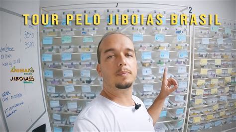 TOUR PELO JIBOIAS BRASIL .